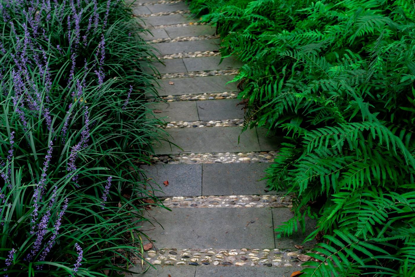 Stone path lined with ferns and flowers
