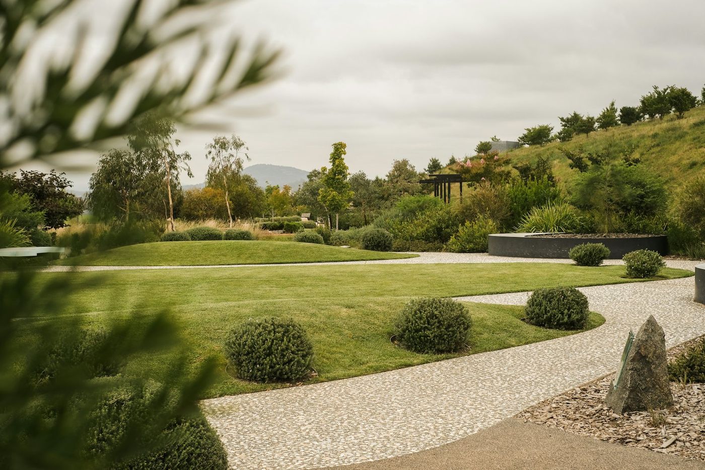 Wide lawn framed by shrubs and trees